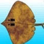 The Duke Of York Inn